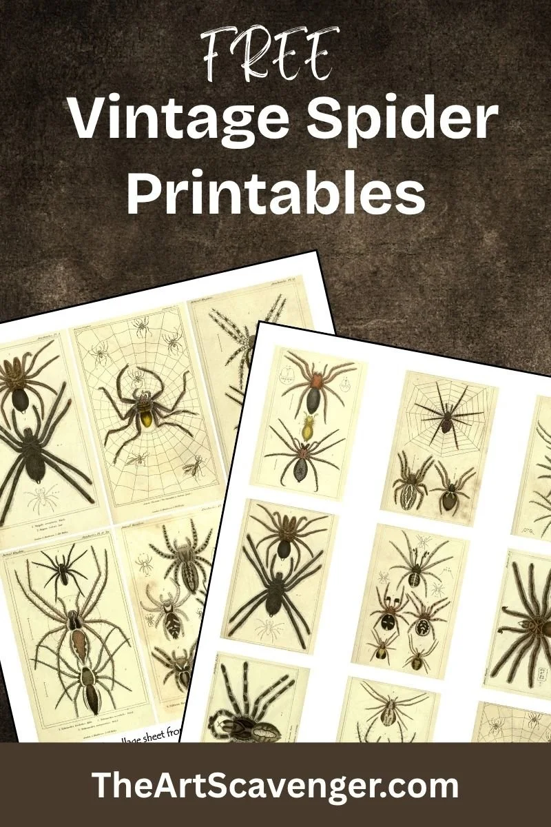 Vintage spider printables for junk journals and Halloween crafts
