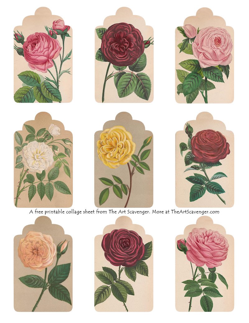 Free Rose Junk Journal Cards — The Art Scavenger