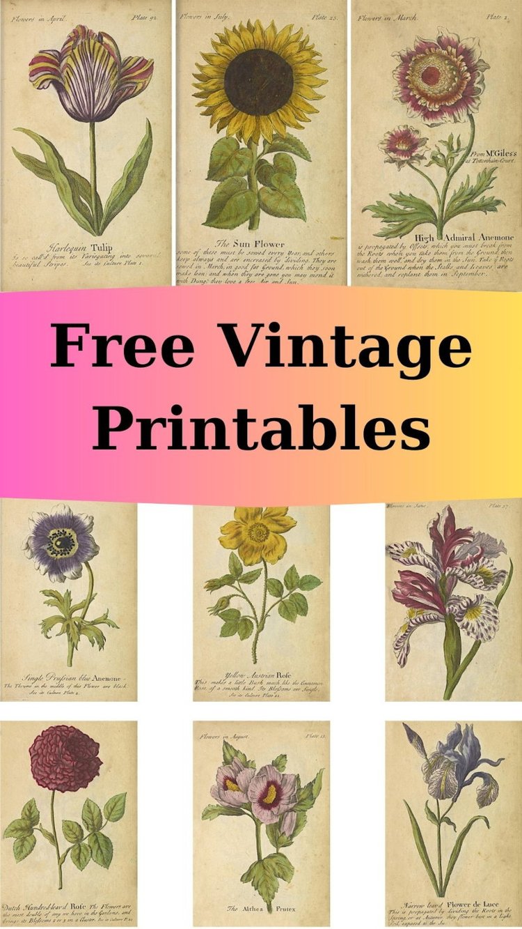 Free Vintage Floral Ephemera Printables — The Art Scavenger