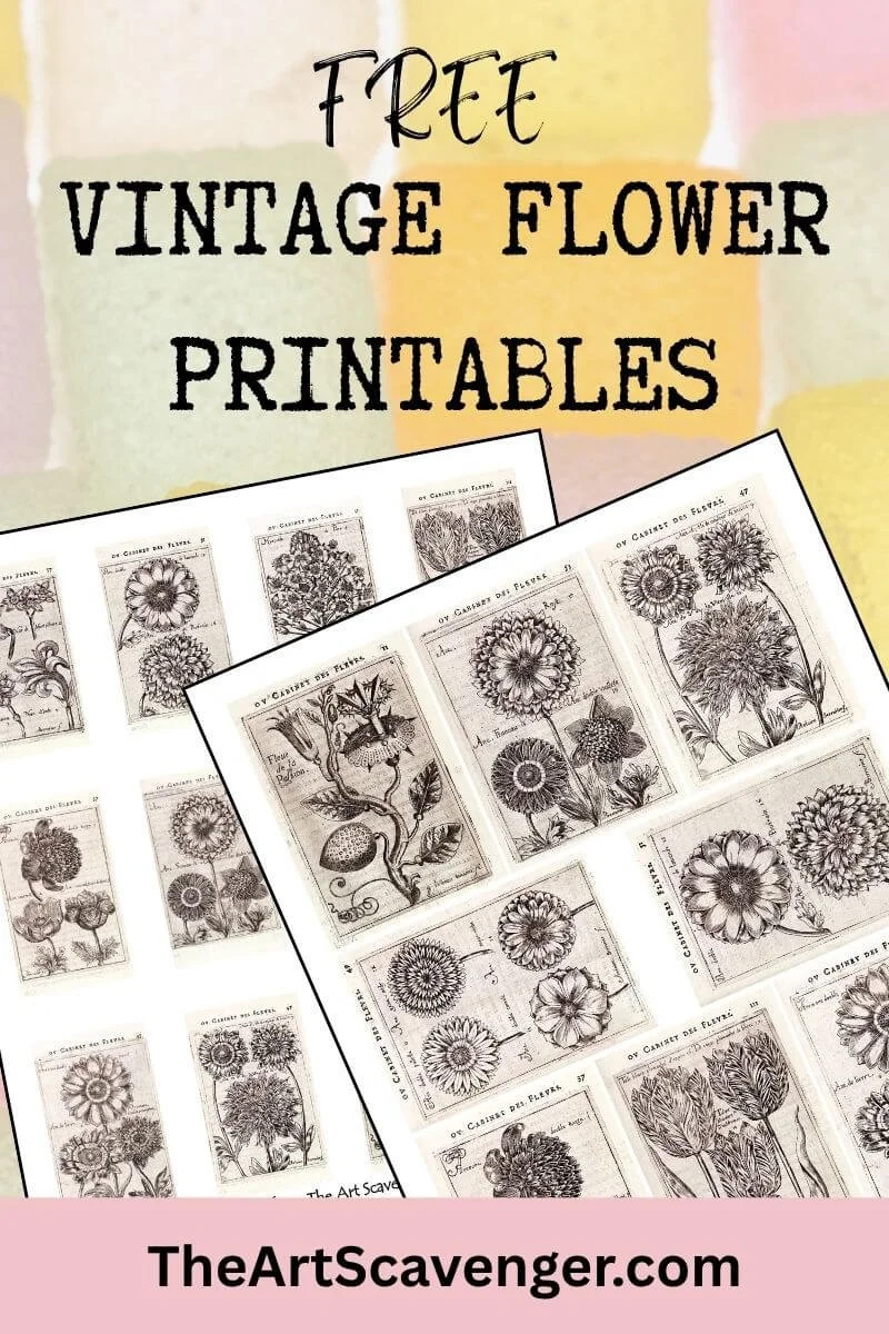 Free printable vintage flower engravings from Jean Franeau's 1616 book Jardin d'hyver ou Cabinet des fleurs.