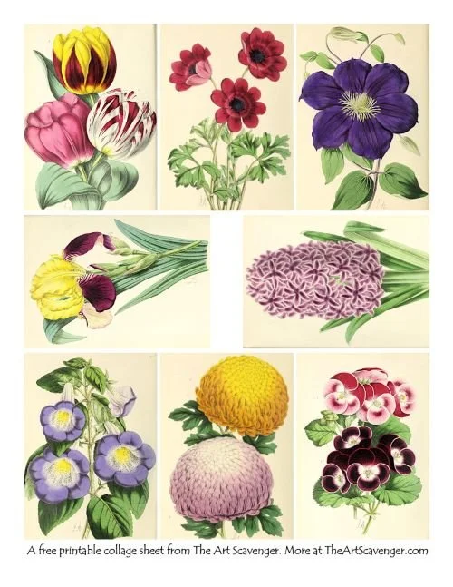 Victorian Floral Magazine Ephemera