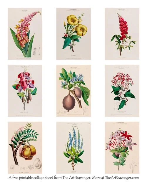 Art Journal Printable with vintage flower illustrations