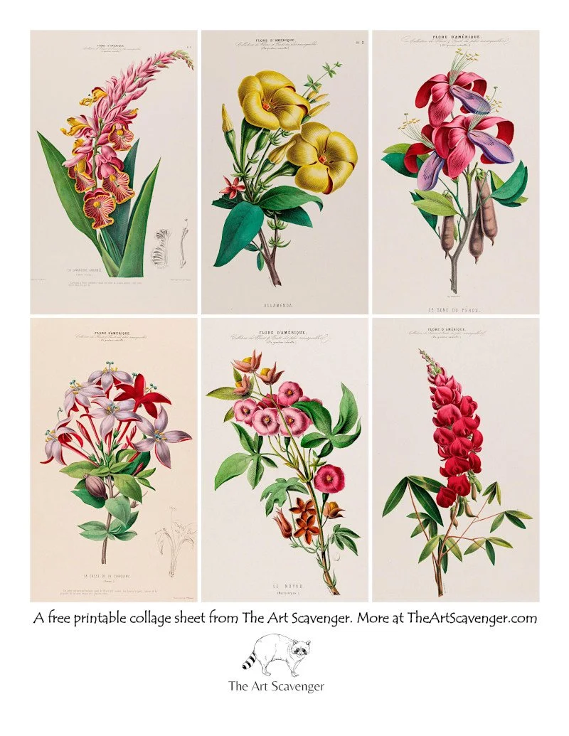 Vintage Botanical Collage Sheets