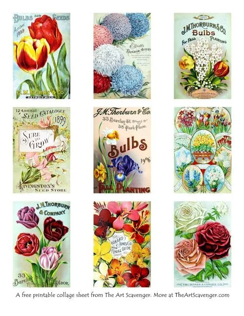 A printable page with vintage seed catalog cover artwork
