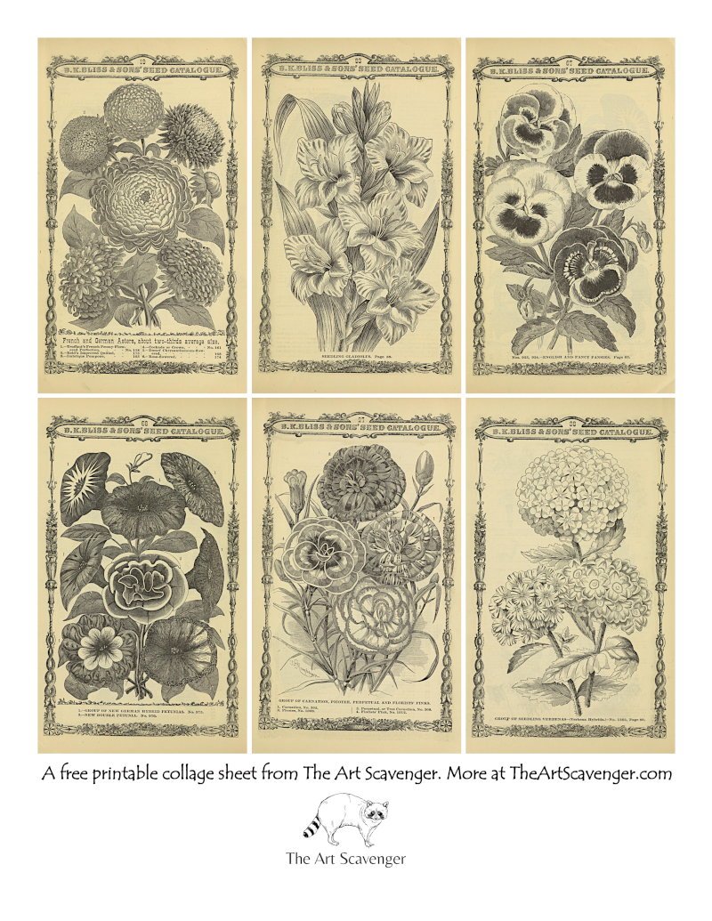 Free Rose Junk Journal Cards — The Art Scavenger