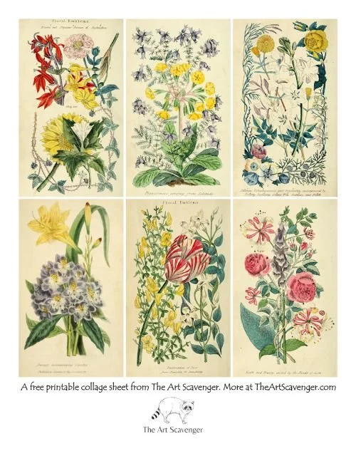A printable collage sheet featuring flower illustrations from a vintage book entitled, Floral Emblems.