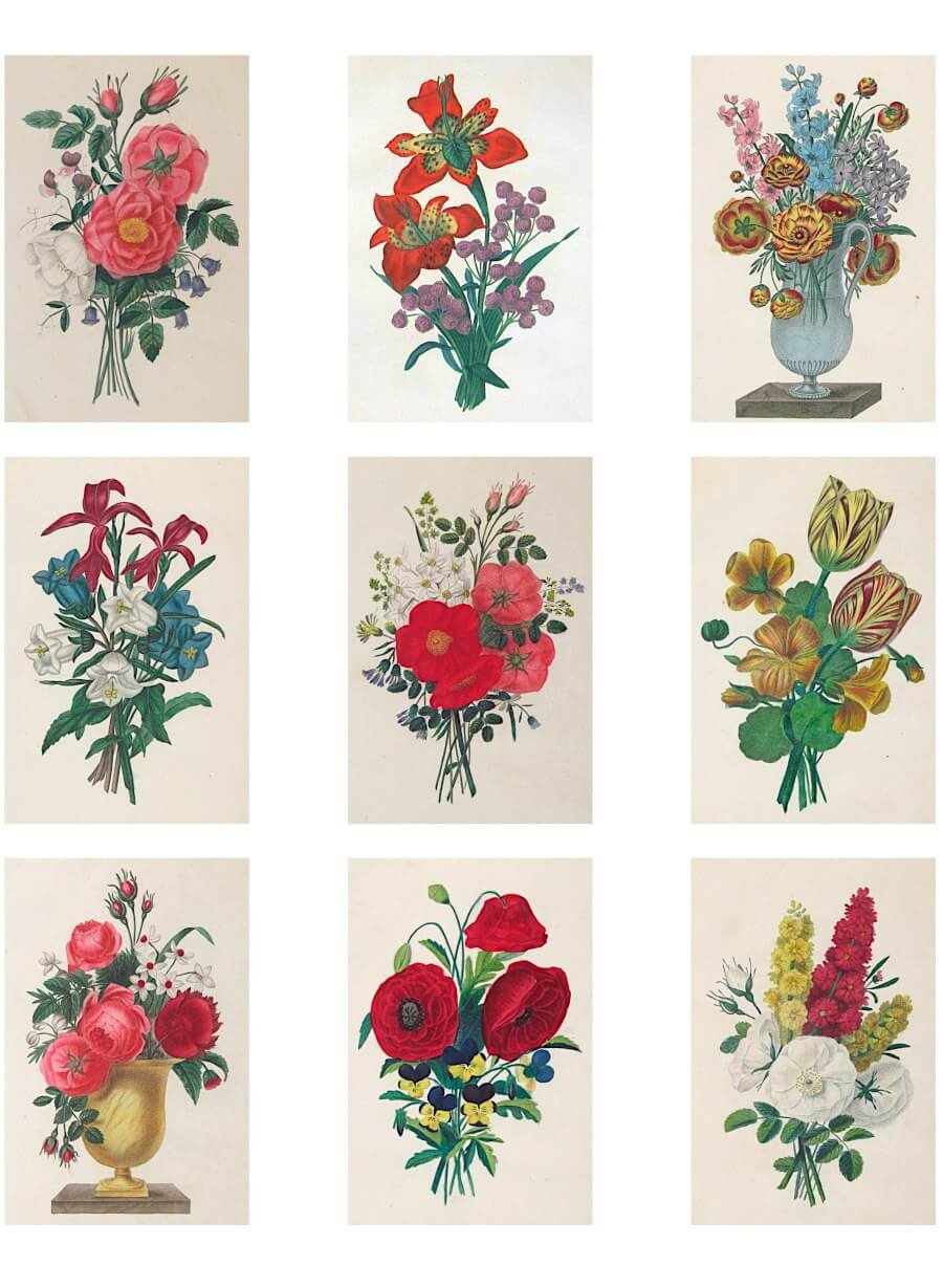 Free printable floral bouquet ephemera featuring nineteenth-century botanical engravings.