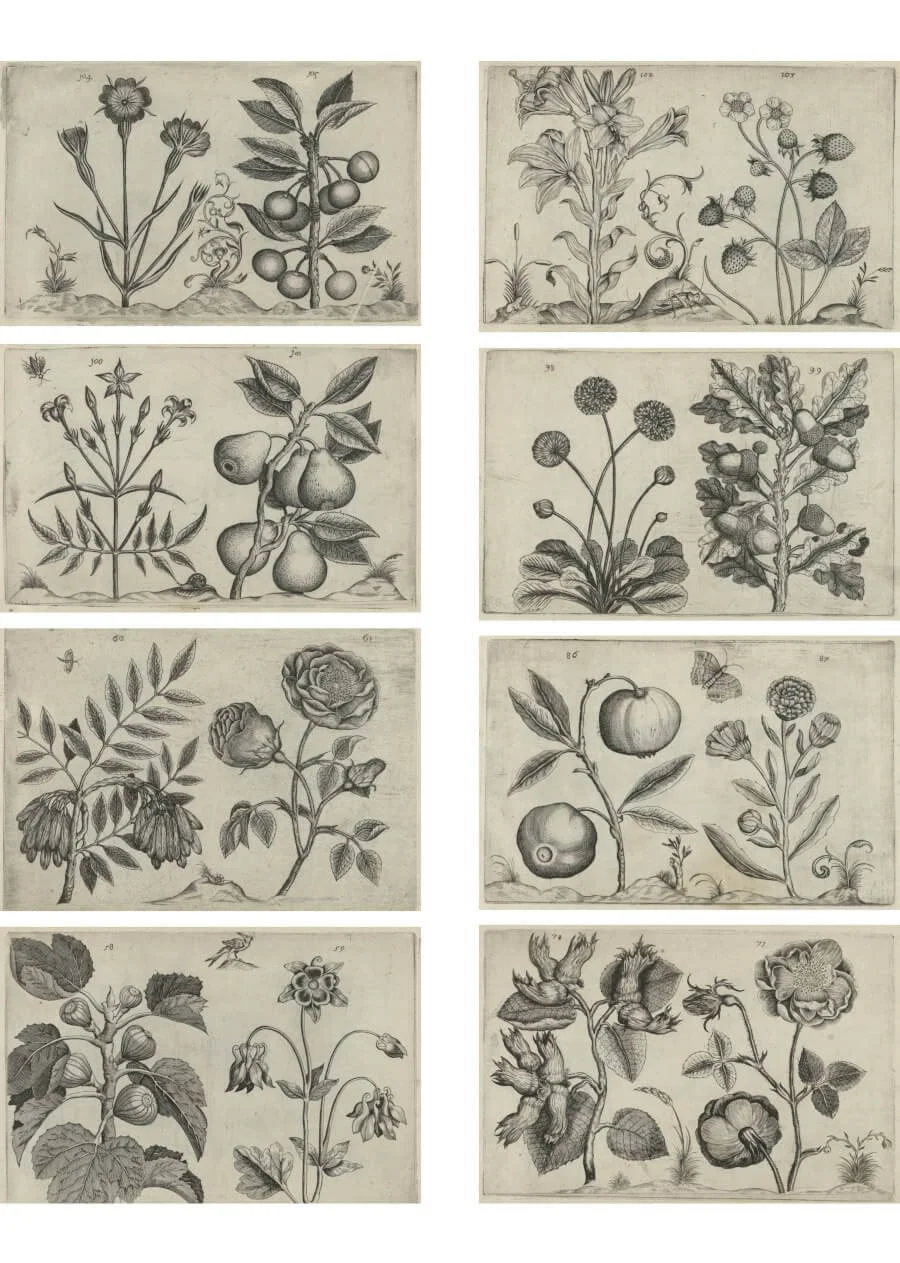 Nature themed printable collage sheet for paper crafts