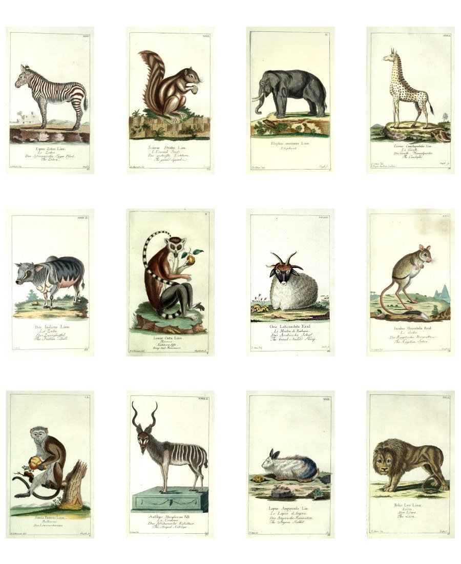 Free Printable Vintage Animal Illustrations for Junk Journals and Art Journals