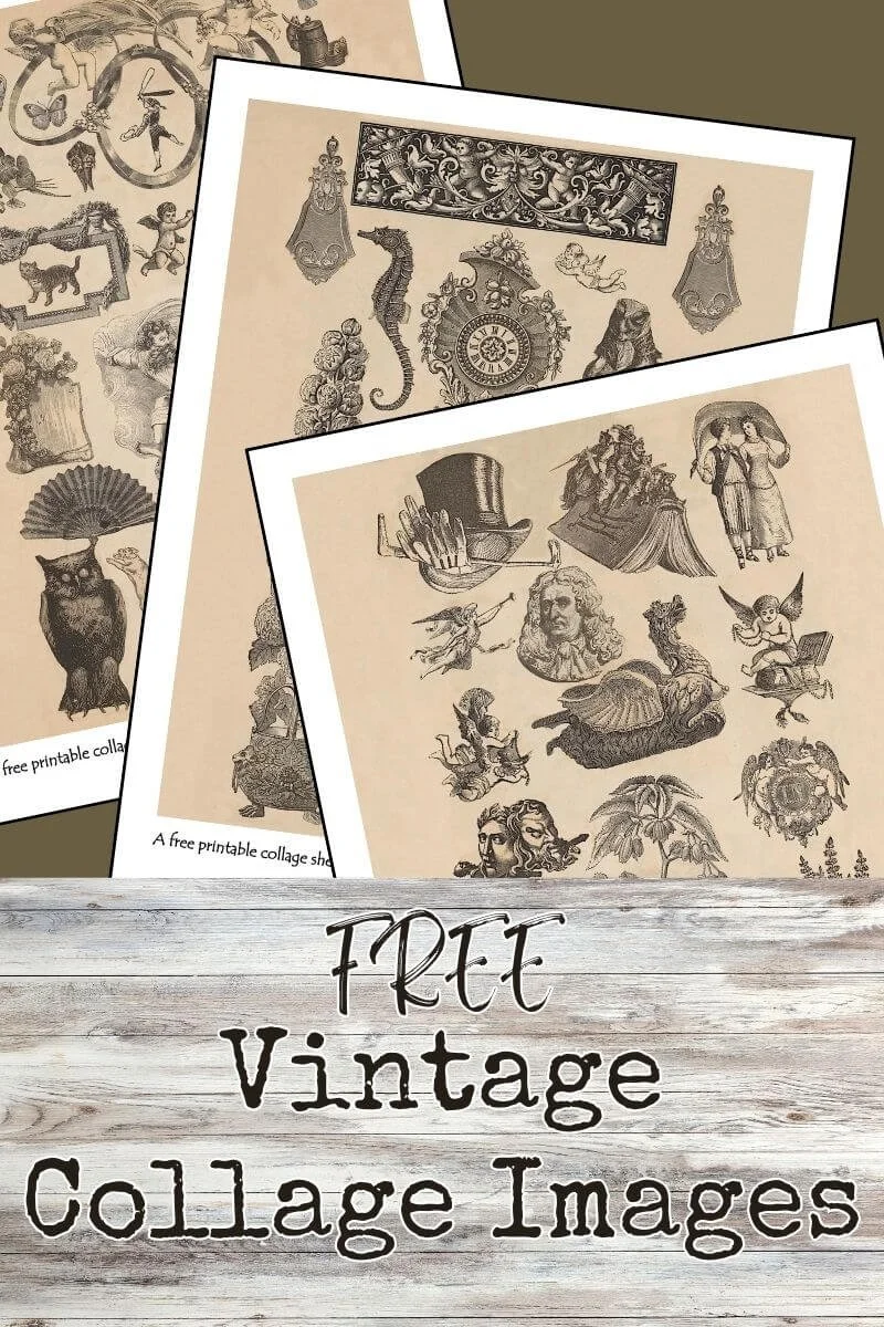 Free vintage collage images from a 19th-century book for junk journals