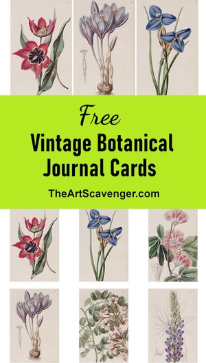 Free Flower Journal Card Printable — The Art Scavenger