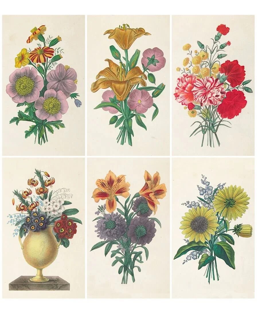 Free Printable Victorian Flower Bouquet Images from an 1835 Floral Collection