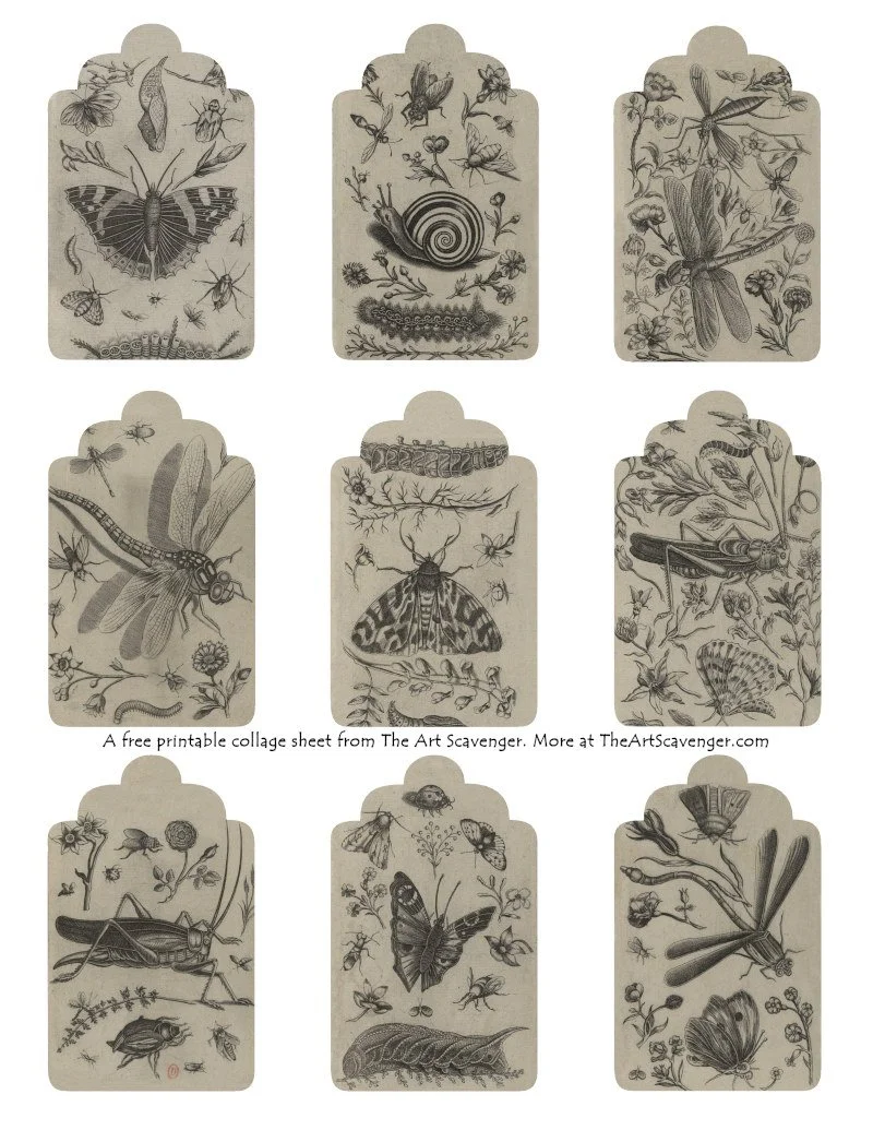 Journal Insect Stickers Free Insect Journal Printables — The Art Scavenger