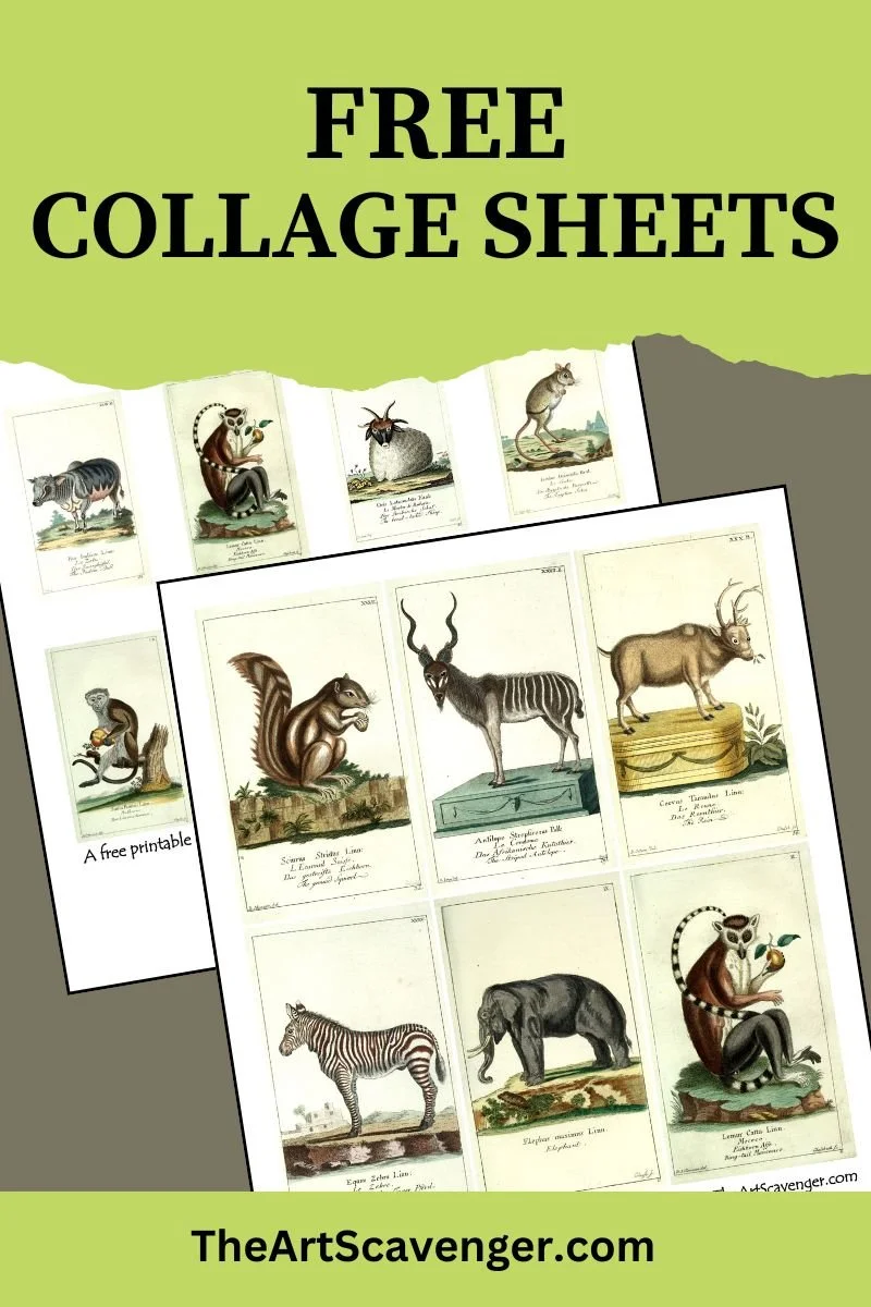 Free printable vintage animal illustrations for junk journals