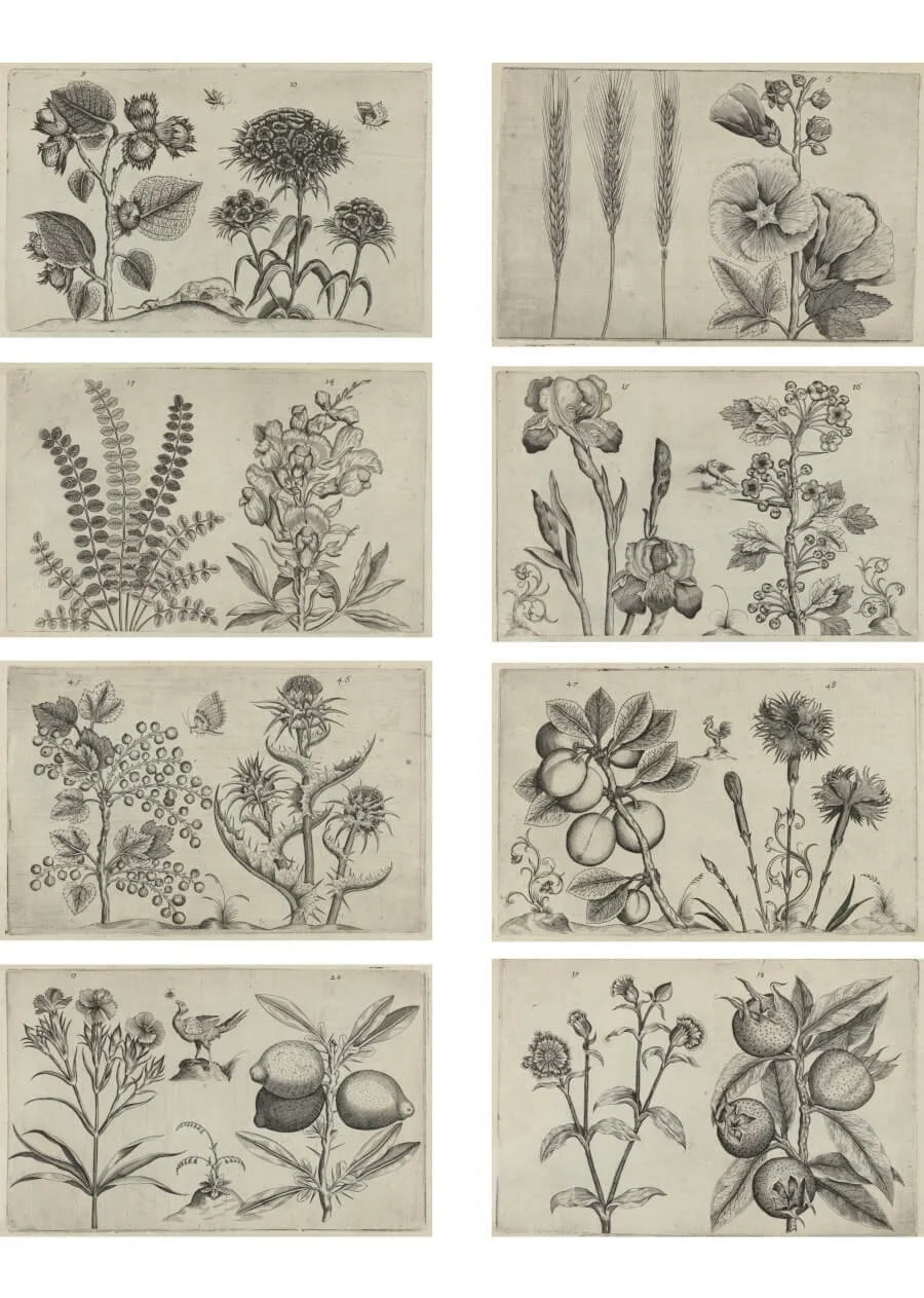 DIY stationery botanical printable with vintage flower engravings