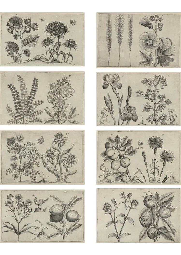Free Botanical Printables for Scrapbooking, Card Making & DIY ...