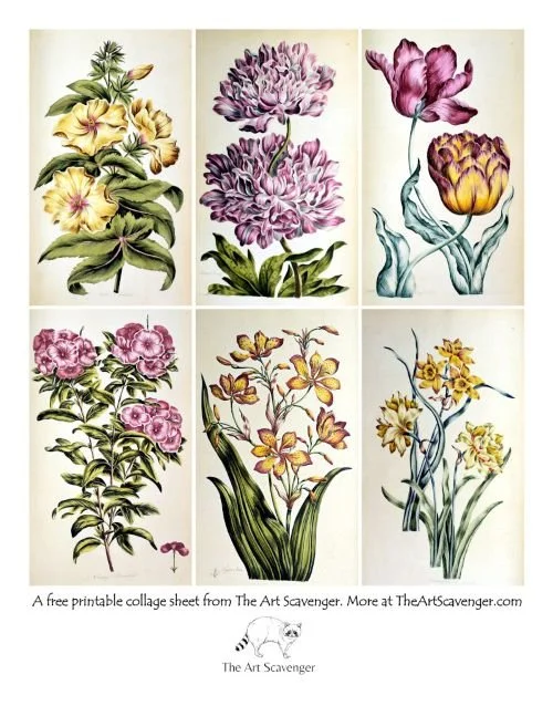 Vintage flower illustrations for art journaling and mixed media collage