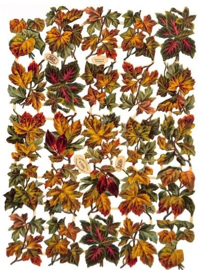 Vintage relief scraps of fall leaves