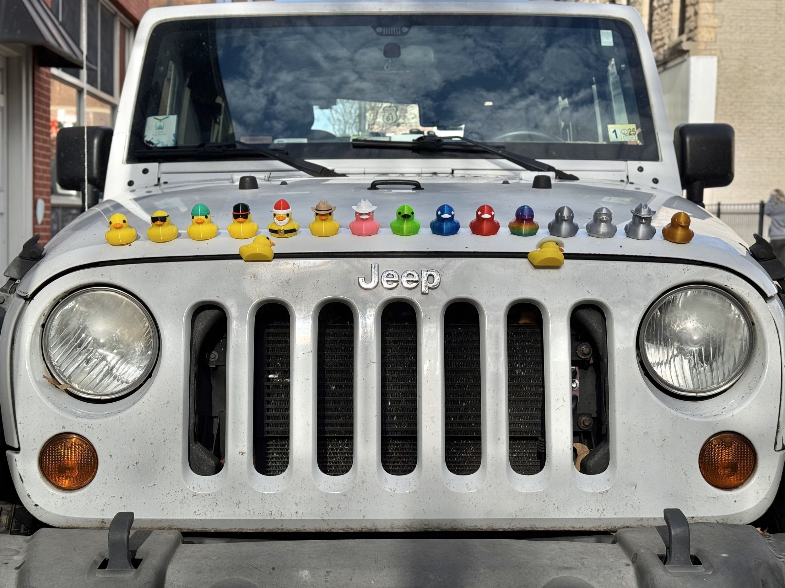 a bumch of ducks.jpg