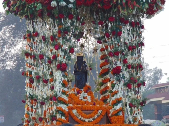Dhori Mata procession 2017.jpg