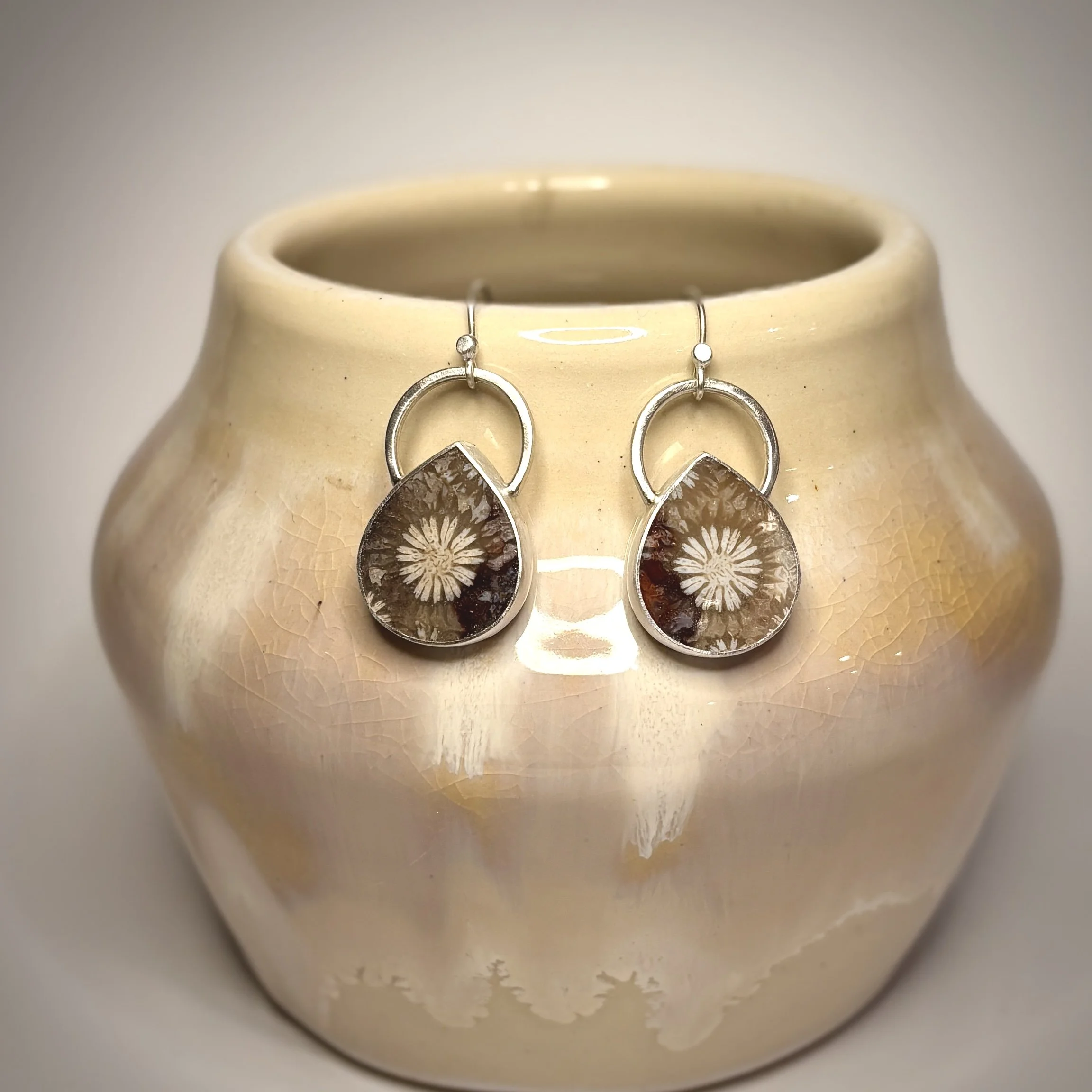 Fossil Coral Natures Beauty