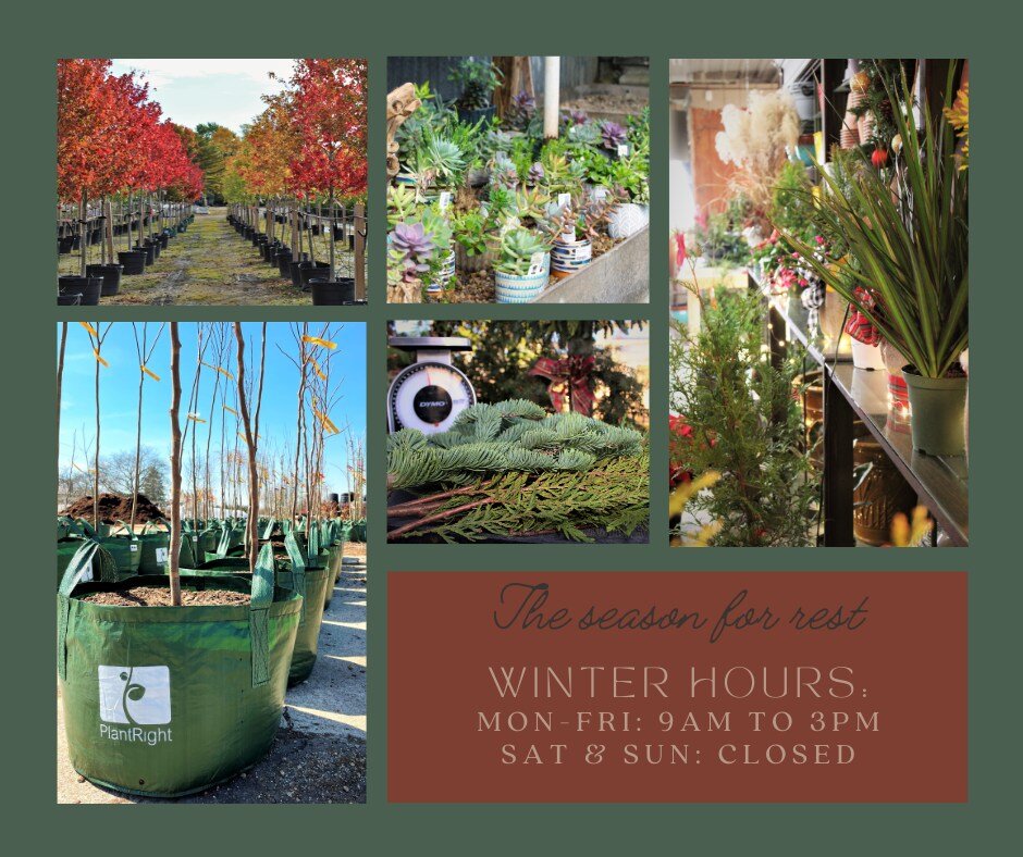 We are officially into the quiet season, and this coming Monday, the 20th, will begin our winter hours! We're excited to see what beauty this season will bring, so stick with us as we move into winter time! 🍂 

Mon to Fri: 9am - 3pm
.
.
.
#localbusi