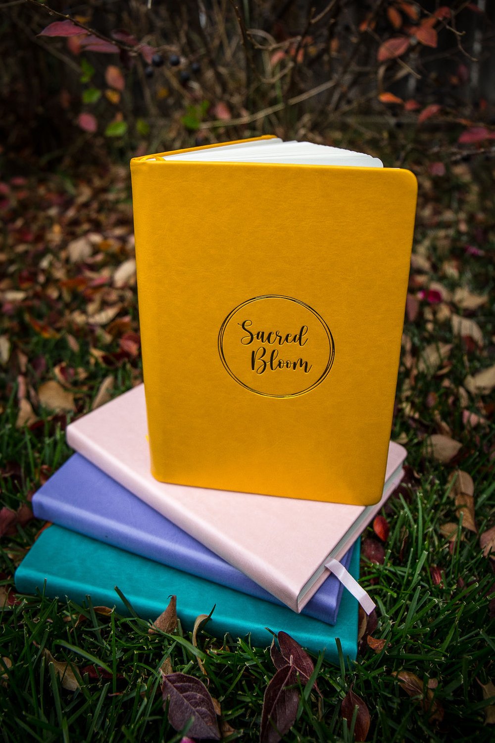The Bloom Box — Sacred Bloom