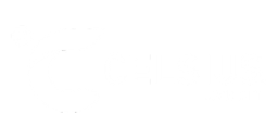 Celsius.png