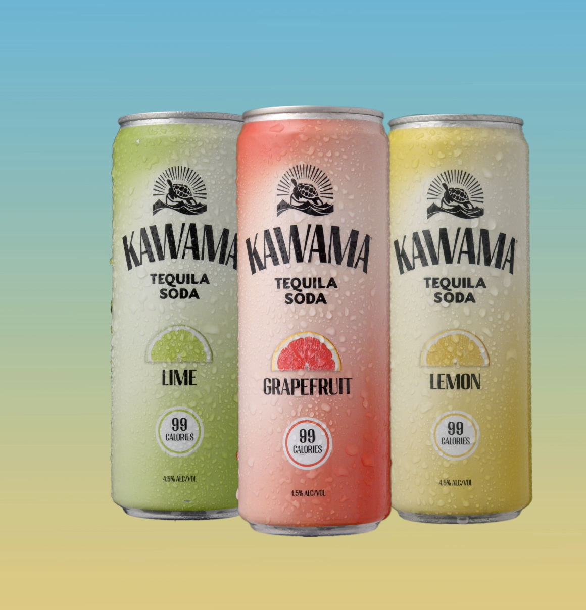 Screen Shot 2021-09-28 at 3.39.22 PM.png