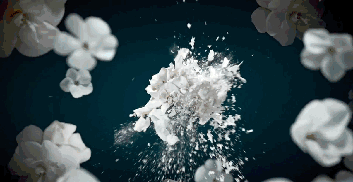 Feb-10-2024 00-58-20.gif