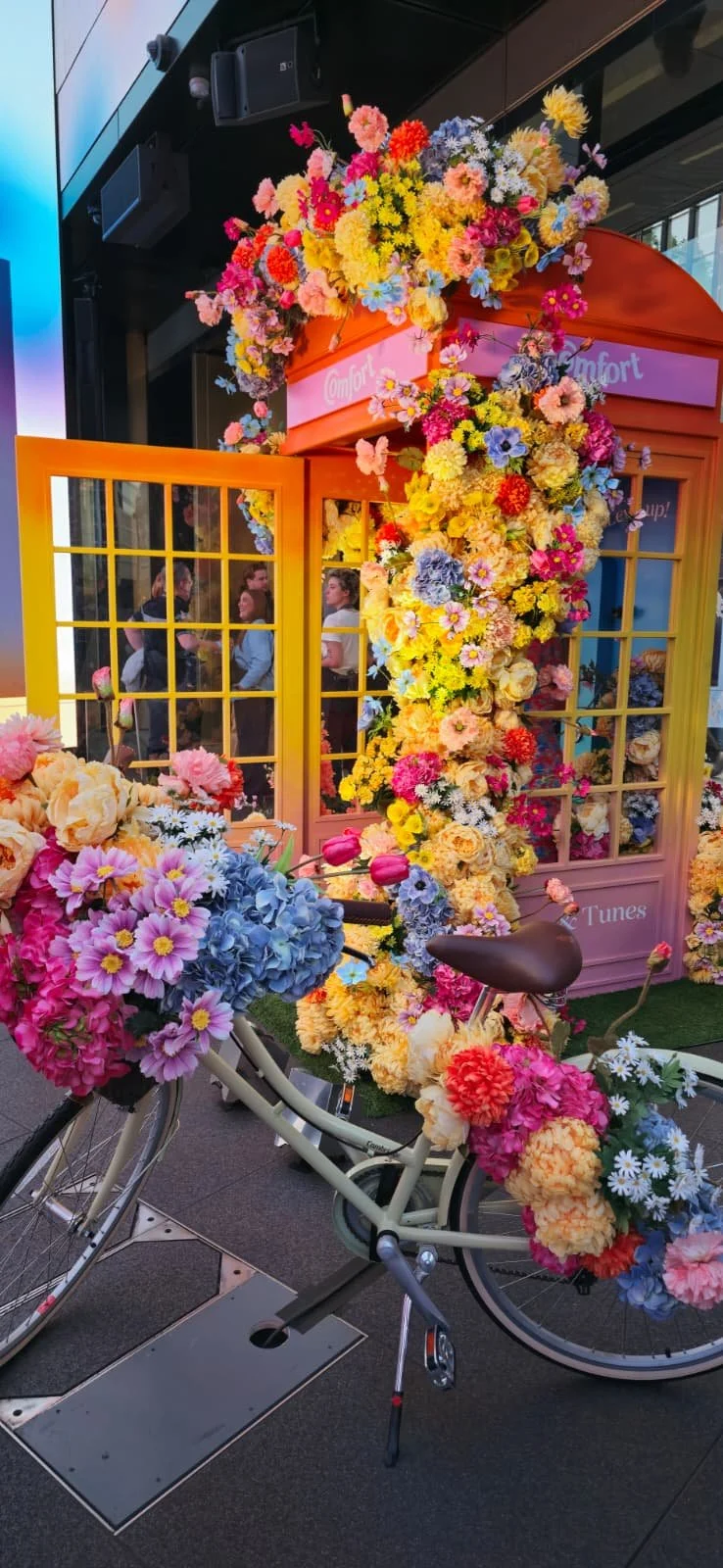 WhatsApp Image 2026-01-09 at 18.35.19.jpeg