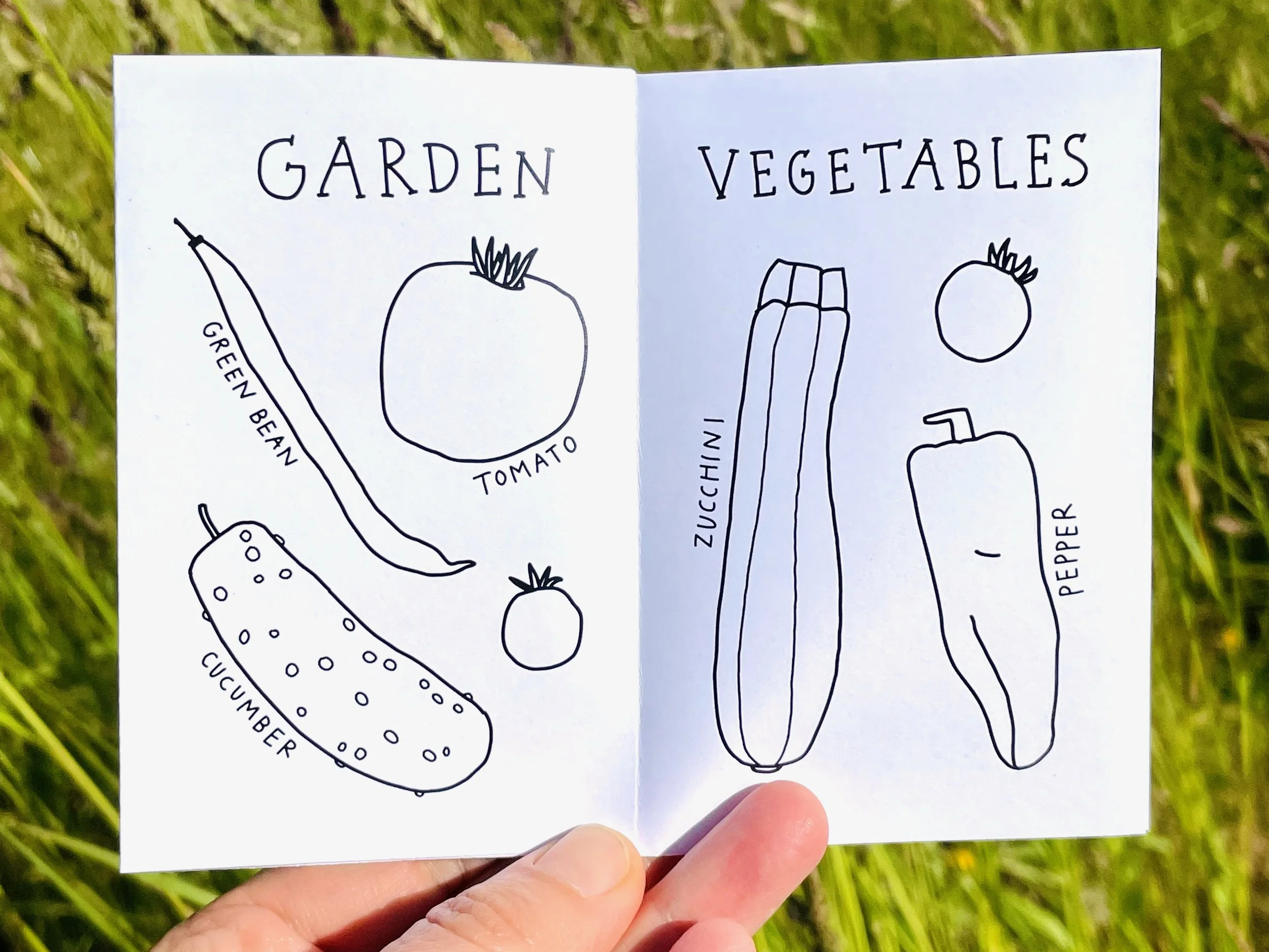 Summer is coming! + new free zine