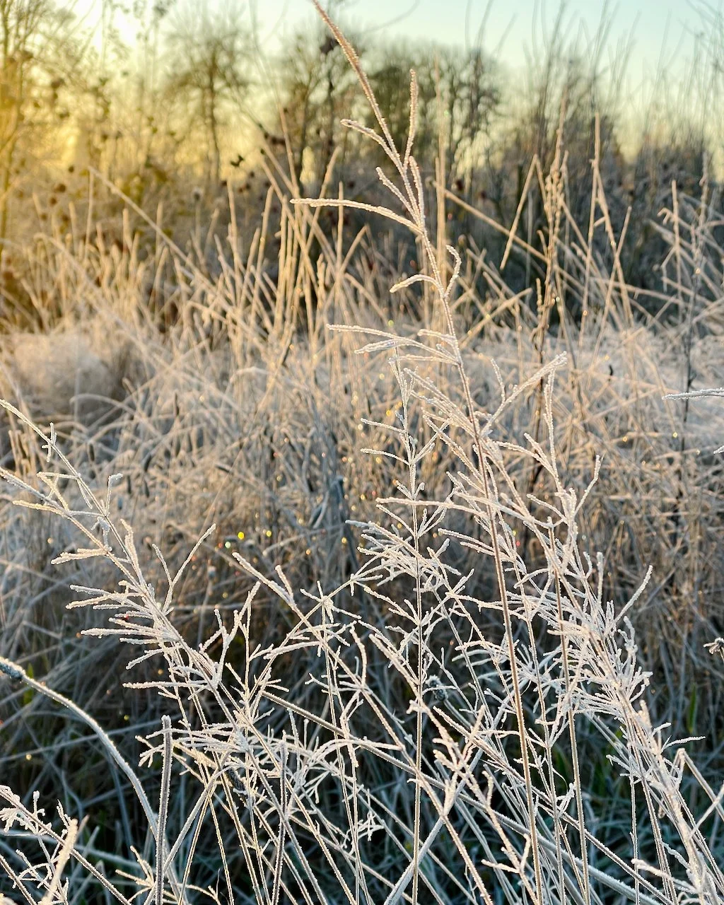 Thank you! + Happy 2023