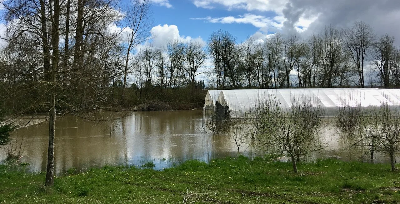 Voting, avocados, mugs & more