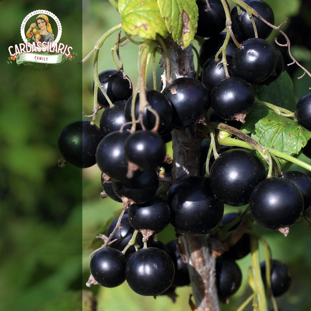 Un Vistazo Más de Cerca a las Grosellas y Otras Uvas Pasas