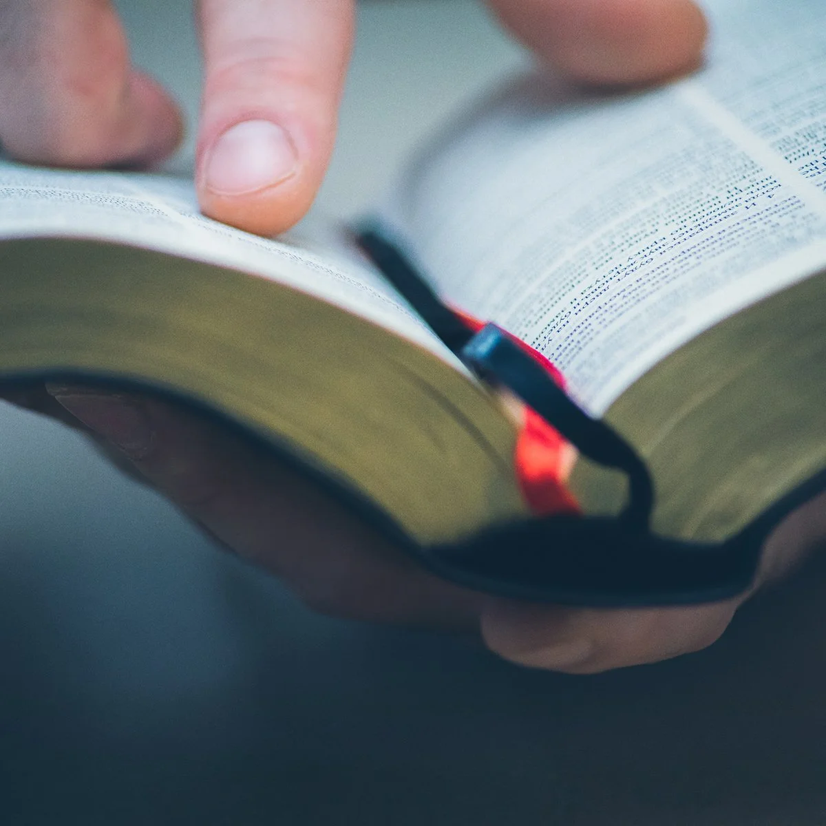 bible.jpg