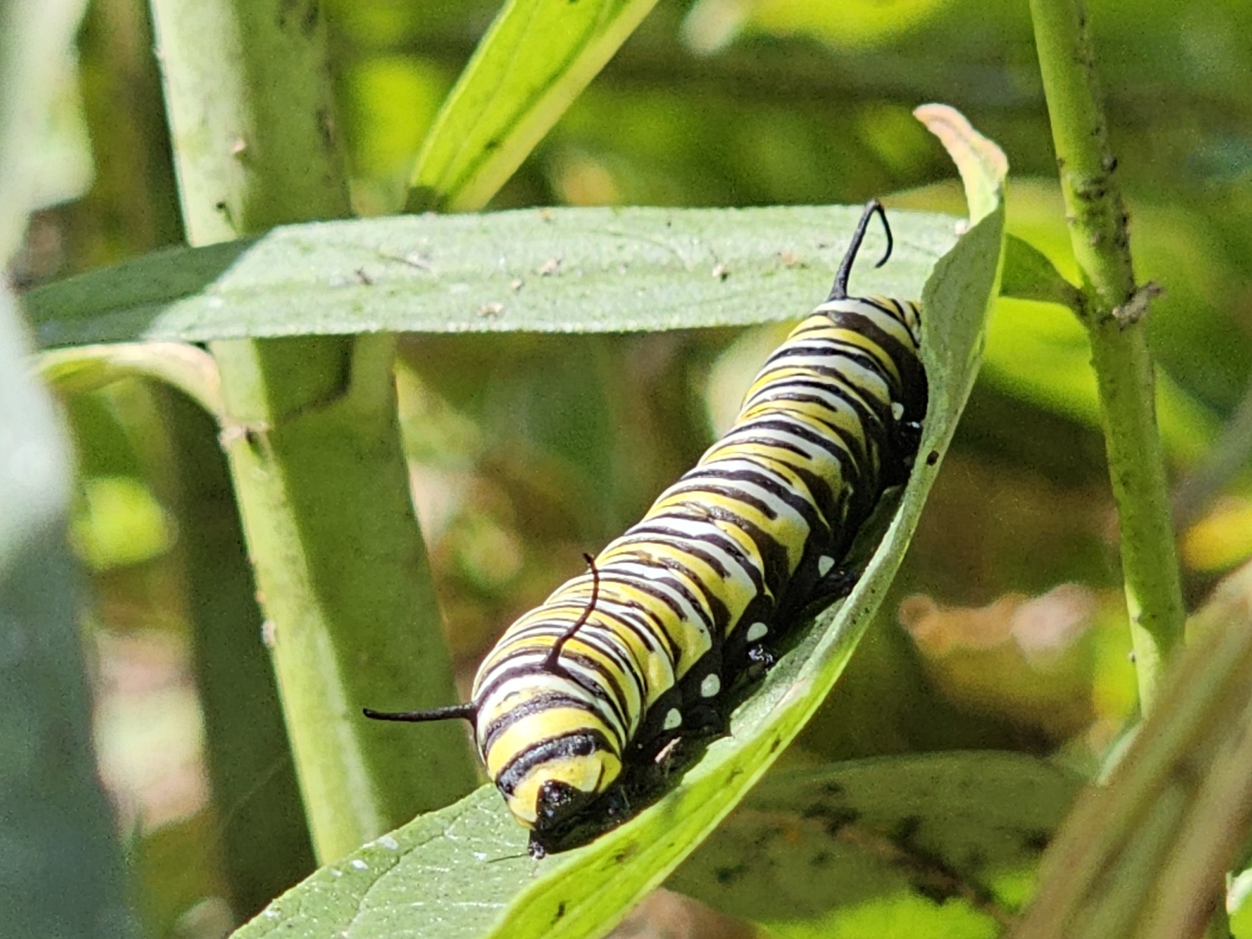 20230902_140030.jpg