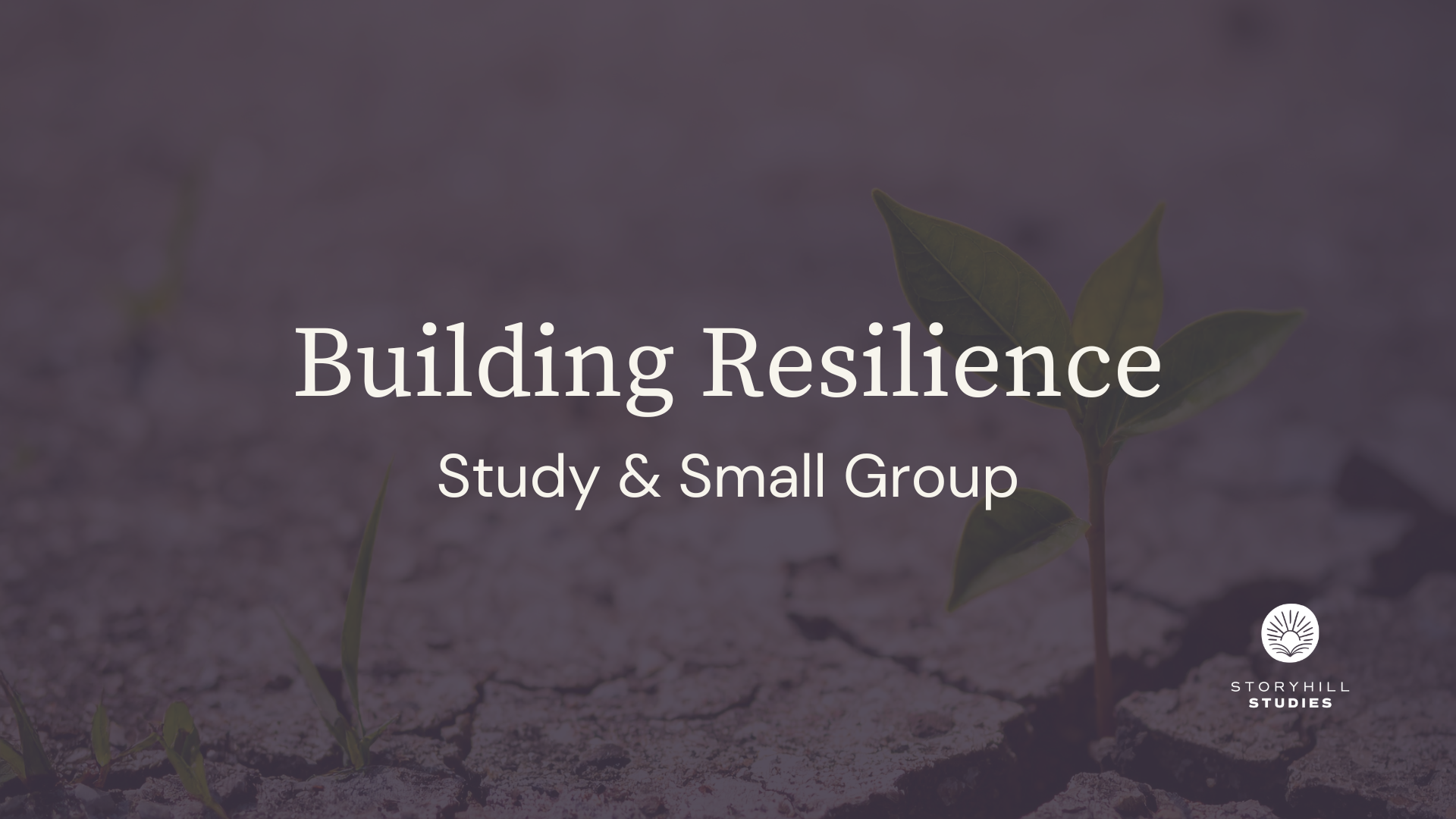 Building Resilience Study &amp; Small Group
