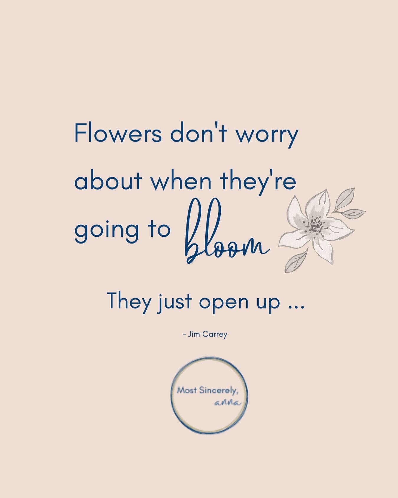 I don't know who needs to hear this, 

but here's your permission to stop

worrying about whether or not you have everything together before you BLOOM this spring! 

I'll be the first to admit that having an onboarding system in place within Dubsado 