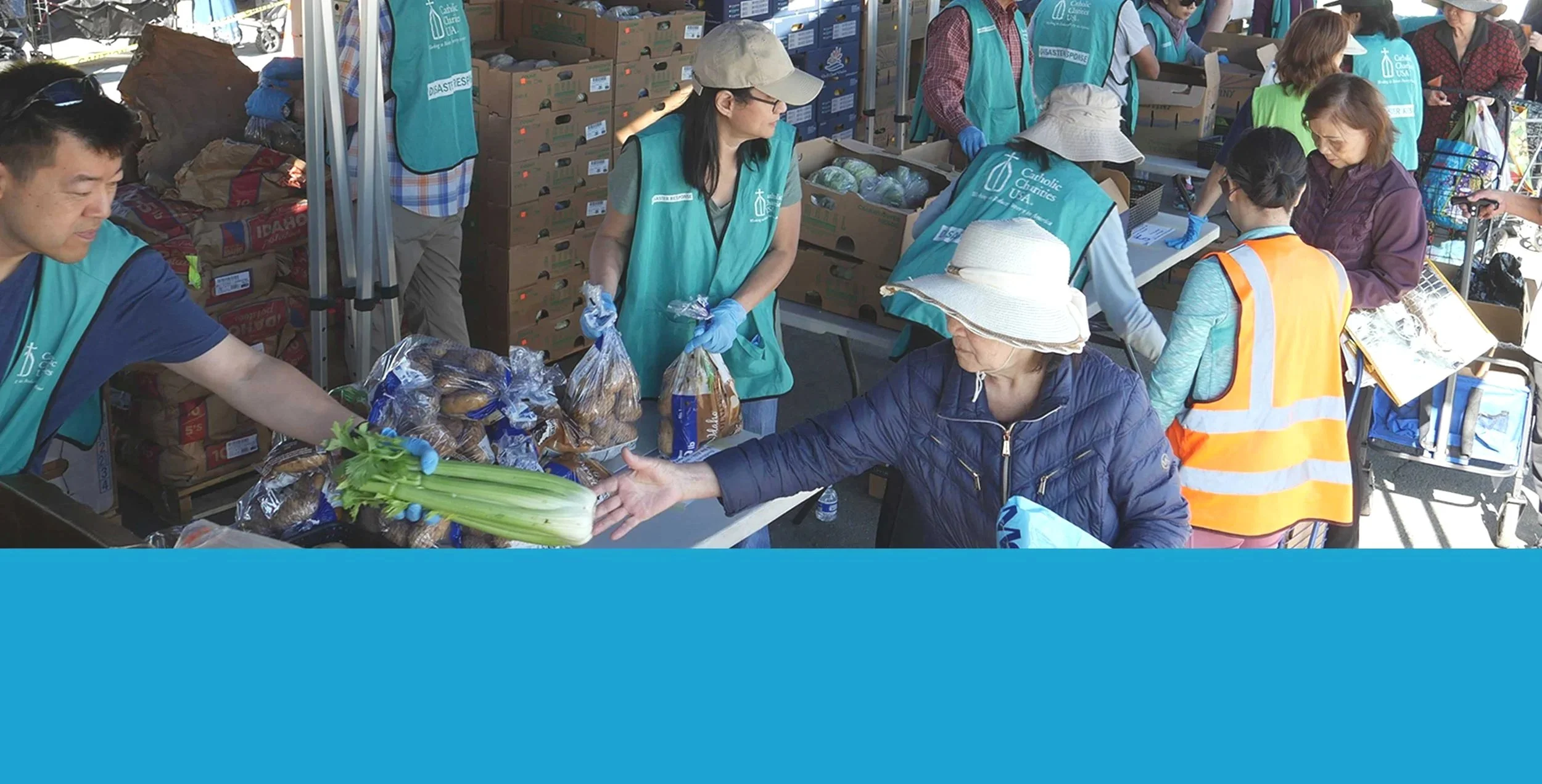 Food distribution at the community market with volunteers handling food to clients.