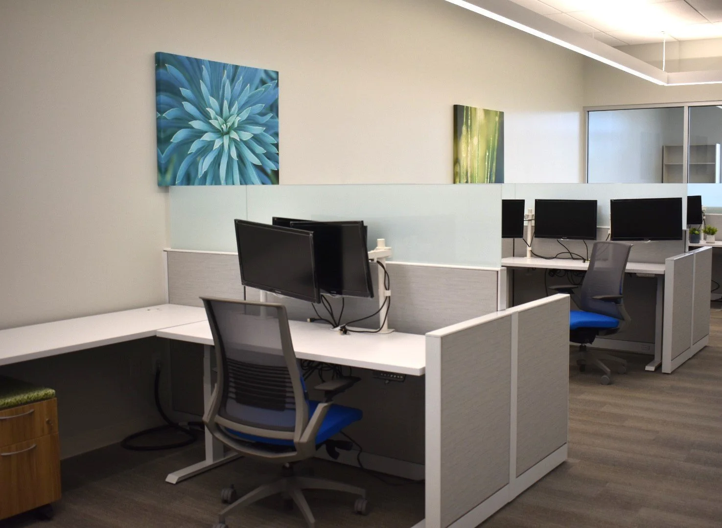 Chase Plastic Services