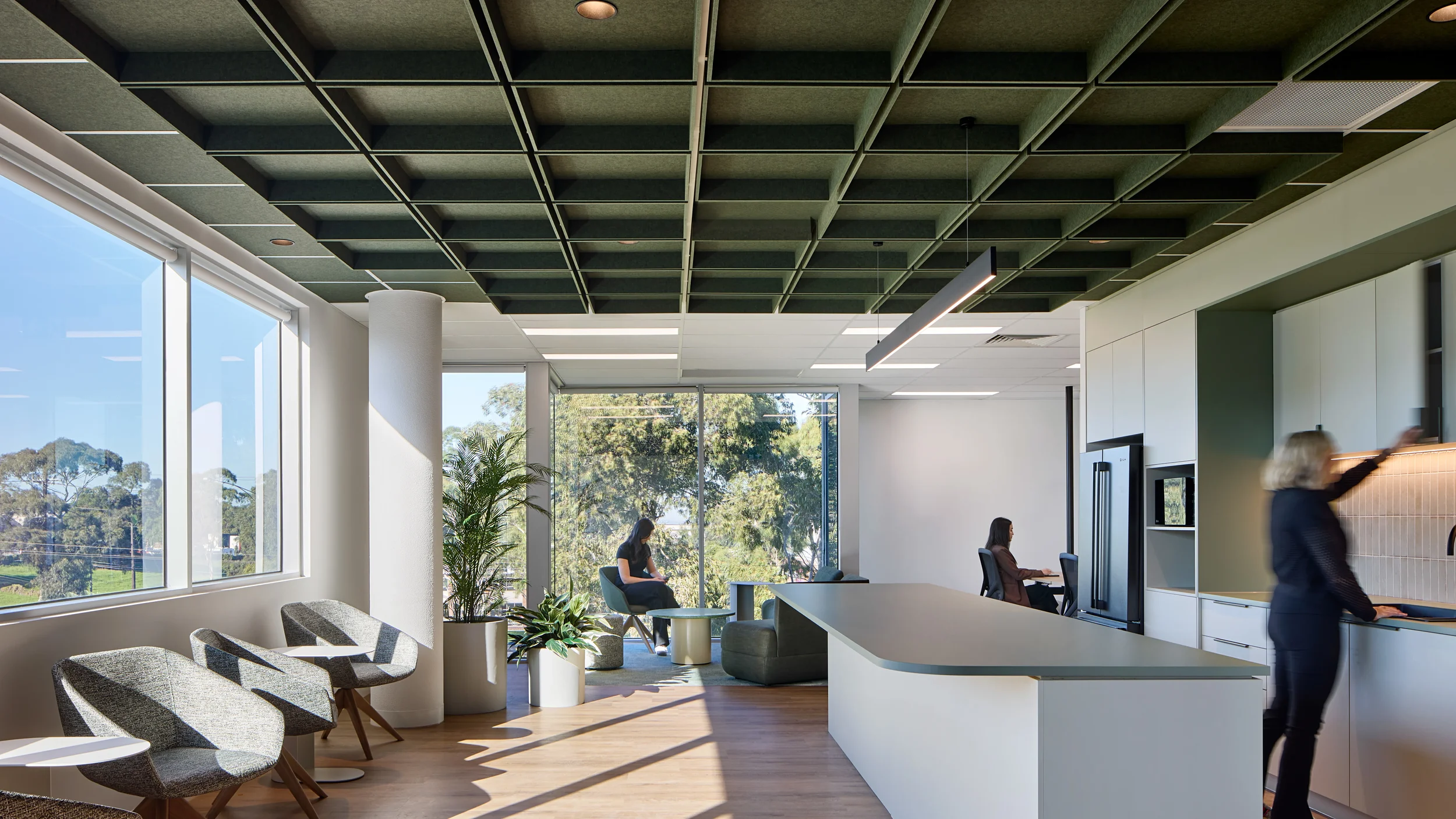 Biophilia in the Office: More Than Just Some Plants