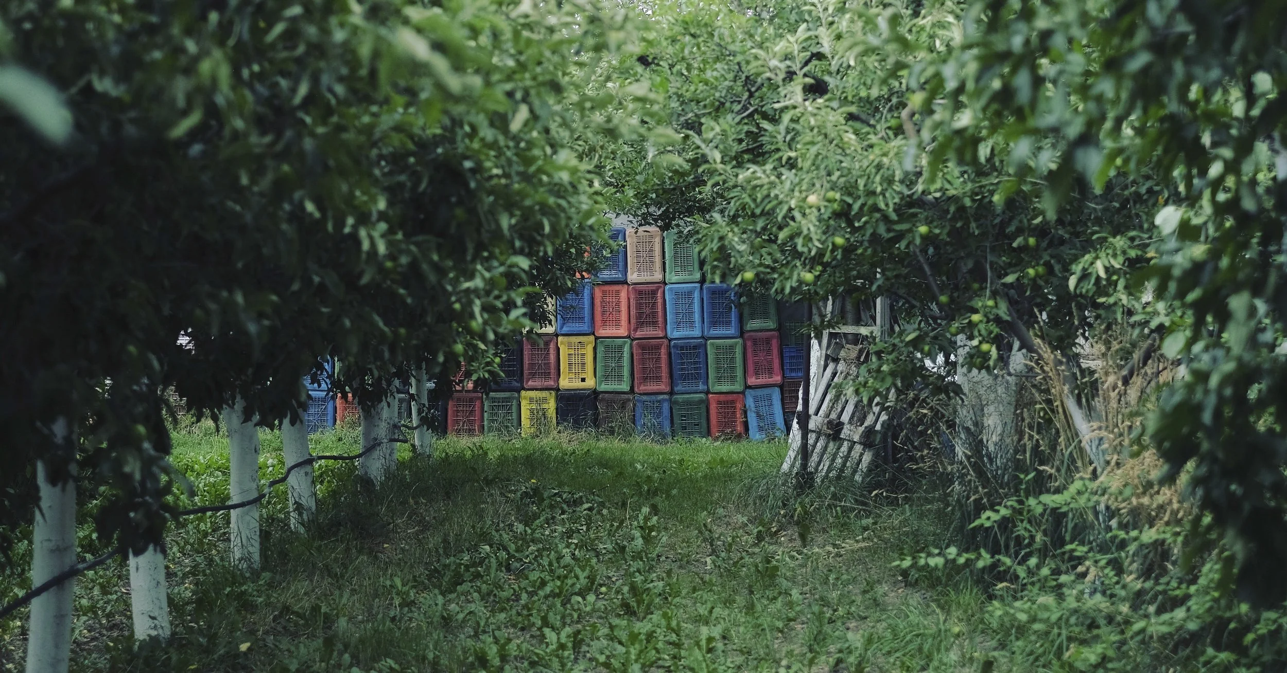 2016-07-20 14.56.42-2.jpg