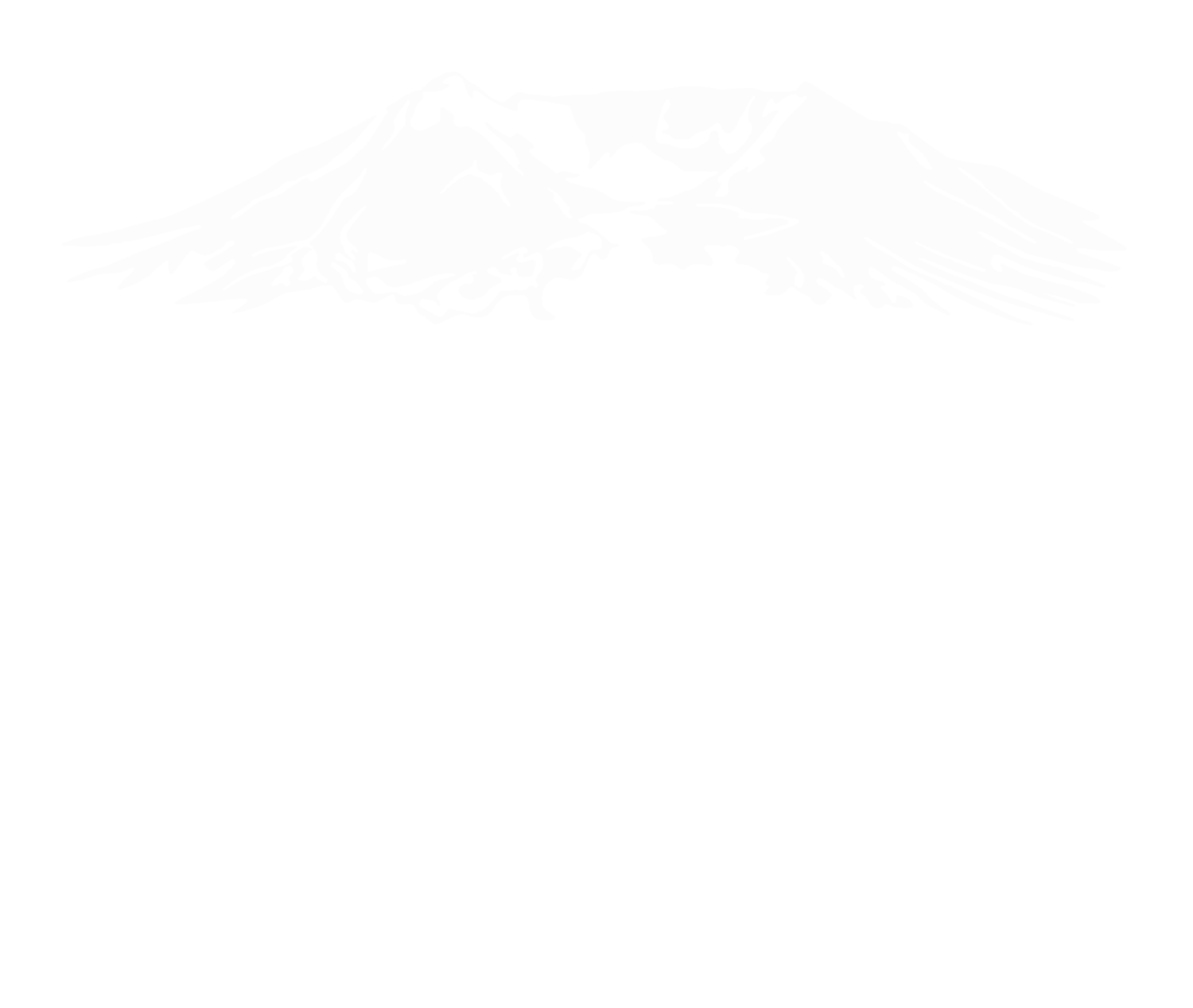 Spine Align Northwest