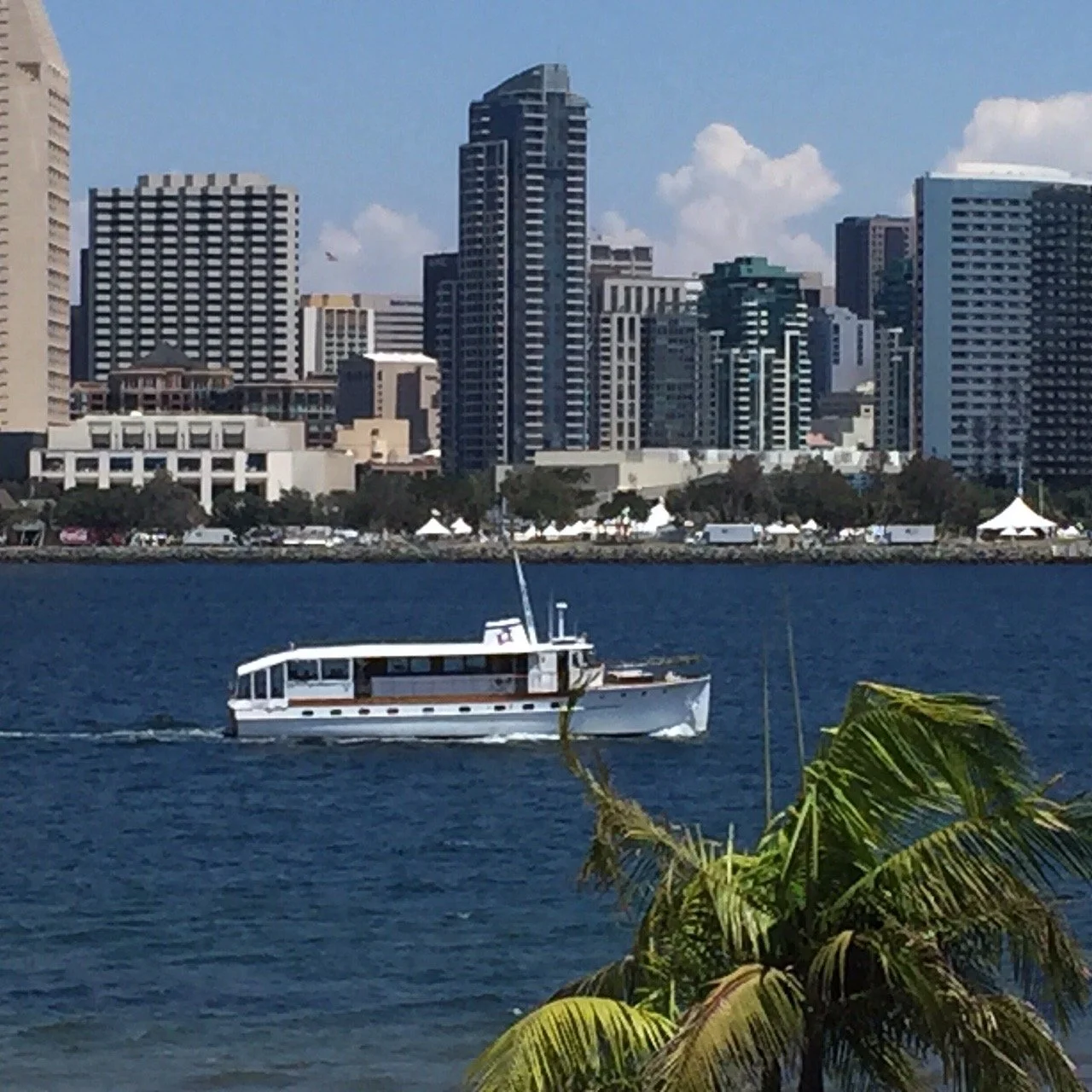 Trumpy from First Street.jpeg