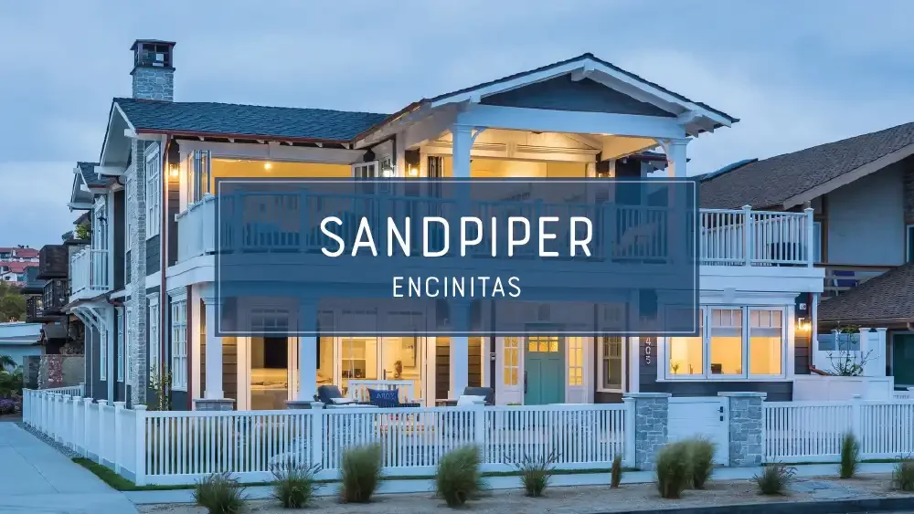 Sandpiper