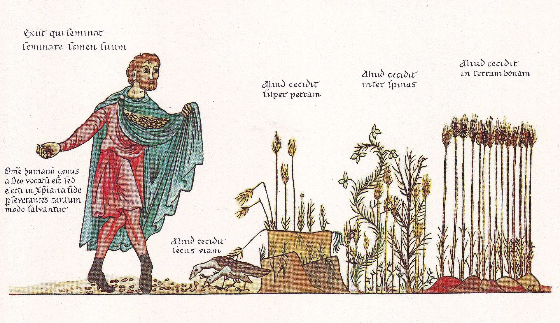 The Seventh Sunday after Pentecost 
