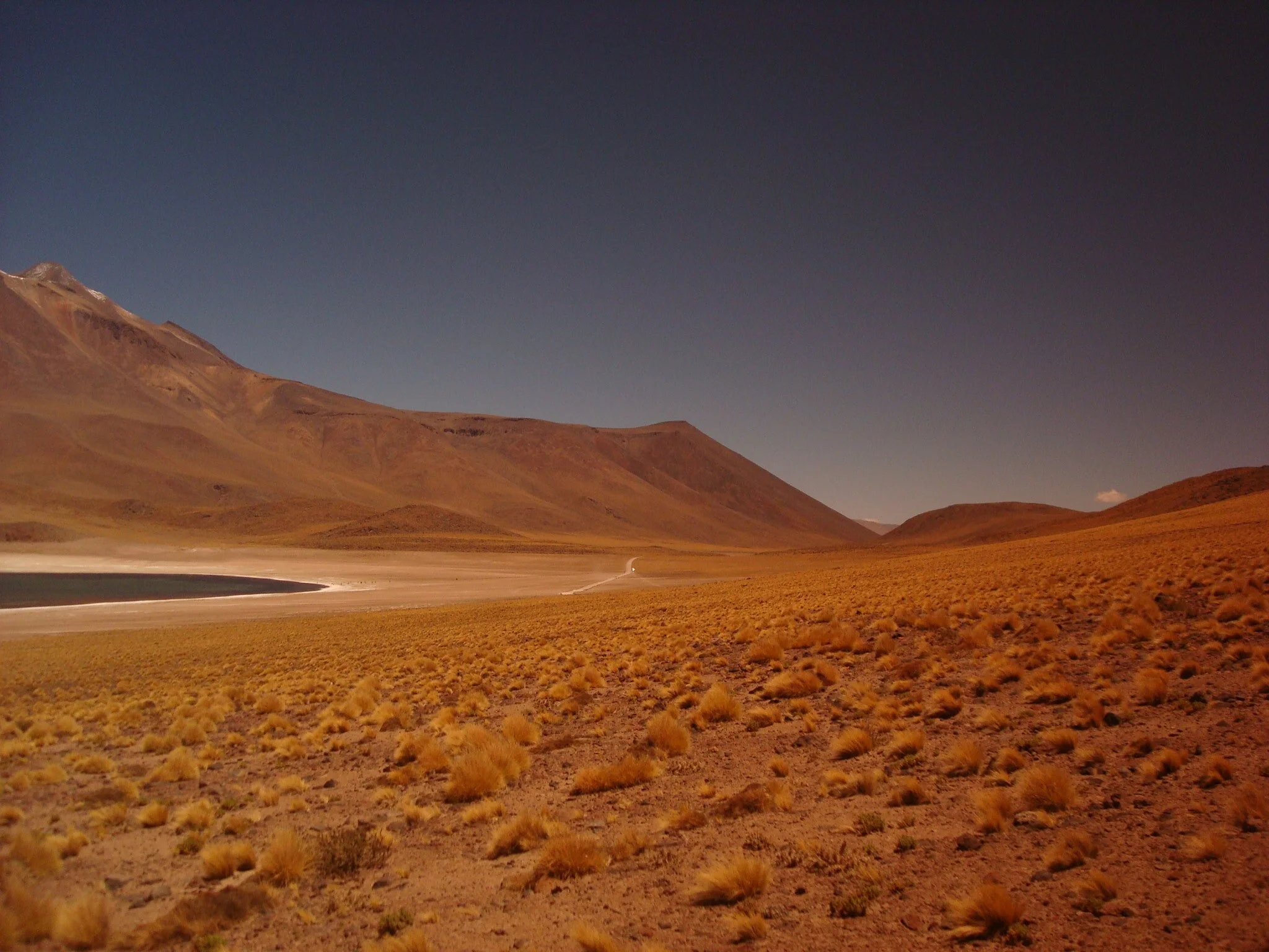 The Wilderness Wanderings