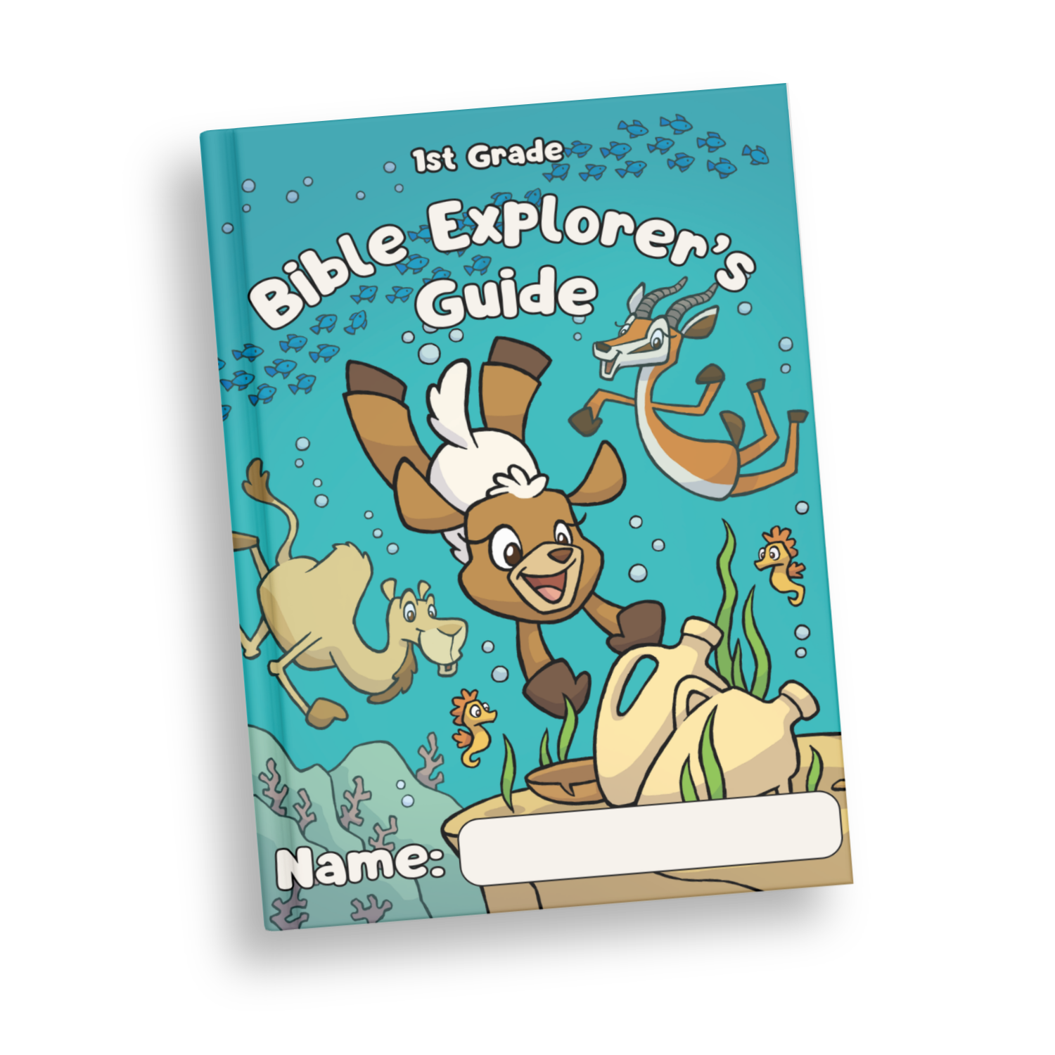 1st Grade Bible Explorer's Guide