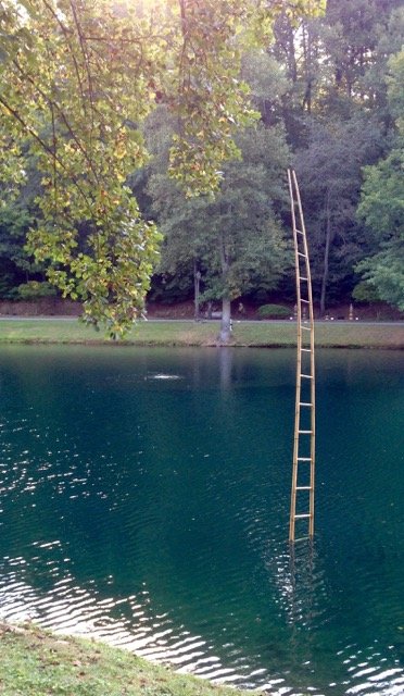 mr-jeff-menzer-artist-installations-floating-ladder.jpeg